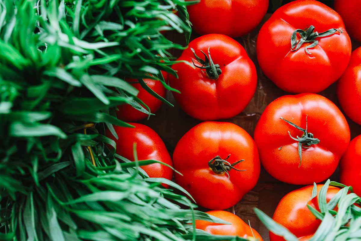Dieta mediterranea con i pomodori
